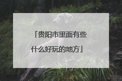 贵阳市里面有些什么好玩的地方