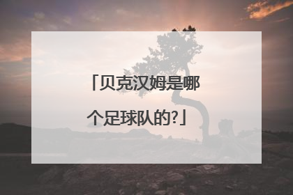 贝克汉姆是哪个足球队的?