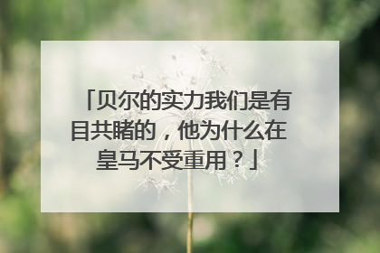 贝尔的实力我们是有目共睹的，他为什么在皇马不受重用？