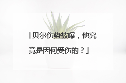 贝尔伤势被曝，他究竟是因何受伤的？