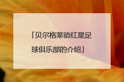 贝尔格莱德红星足球俱乐部的介绍