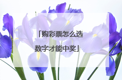 购彩票怎么选数字才能中奖