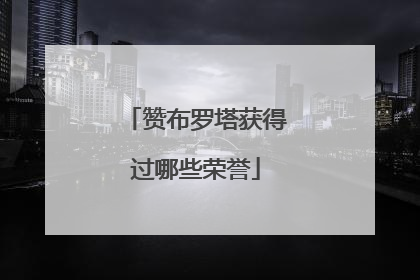 赞布罗塔获得过哪些荣誉