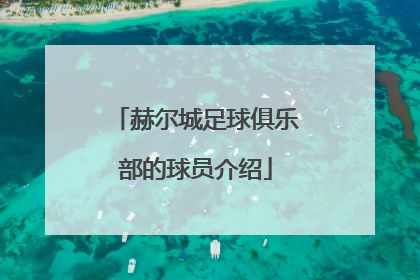 赫尔城足球俱乐部的球员介绍