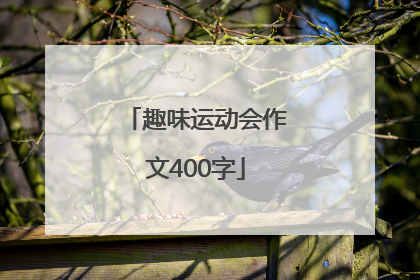 趣味运动会作文400字