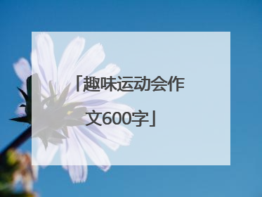 趣味运动会作文600字