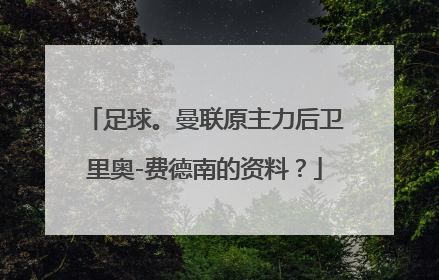 足球。曼联原主力后卫里奥-费德南的资料？