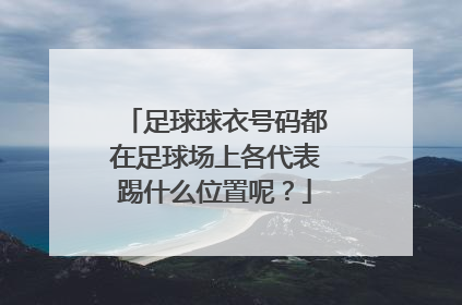 足球球衣号码都在足球场上各代表踢什么位置呢？