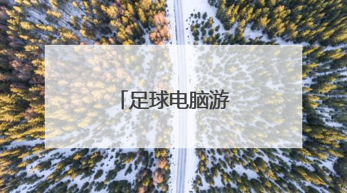 足球电脑游戏有什么？