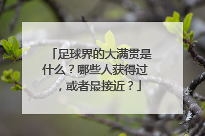 足球界的大满贯是什么？哪些人获得过，或者最接近？