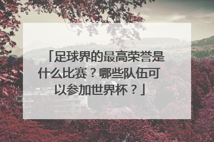 足球界的最高荣誉是什么比赛？哪些队伍可以参加世界杯？