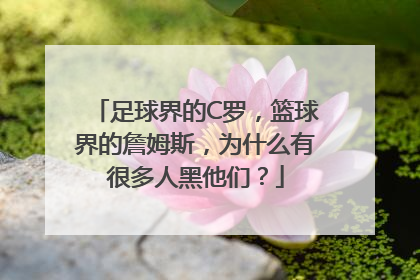 足球界的C罗，篮球界的詹姆斯，为什么有很多人黑他们？