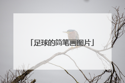 「足球的简笔画图片」足球的简笔画图片大全(足球红旗)