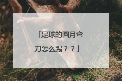 足球的圆月弯刀怎么踢？？