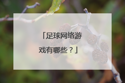 足球网络游戏有哪些？