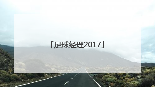 「足球经理2017」足球经理2022多少g