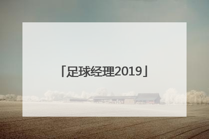 「足球经理2019」足球经理2019手机版汉化