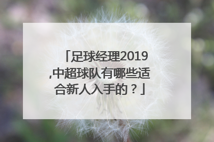 足球经理2019,中超球队有哪些适合新人入手的？