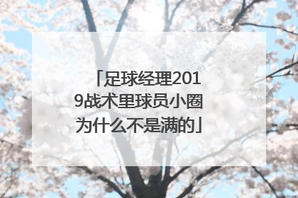 足球经理2019战术里球员小圈为什么不是满的