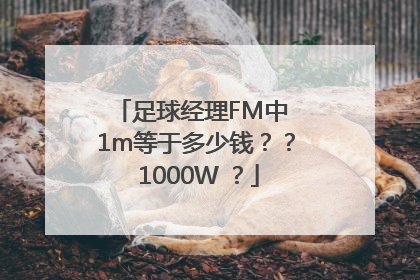 足球经理FM中 1m等于多少钱？？ 1000W ？