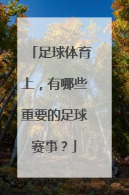 足球体育上，有哪些重要的足球赛事？