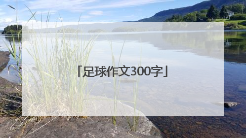 足球作文300字