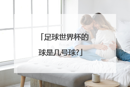 足球世界杯的球是几号球?