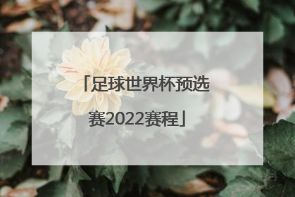 「足球世界杯预选赛2022赛程」2022年足球世界杯预选赛排名