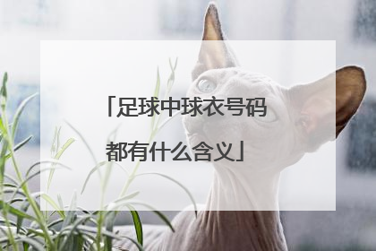 足球中球衣号码都有什么含义