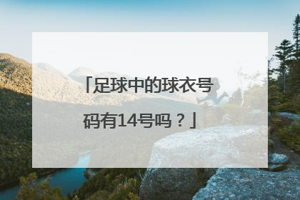 足球中的球衣号码有14号吗？