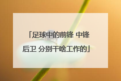 足球中的前锋 中锋 后卫 分别干啥工作的