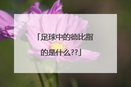 足球中的德比指的是什么??