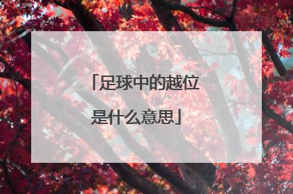 「足球中的越位是什么意思」打足球越位是什么意思