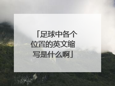 足球中各个位置的英文缩写是什么啊