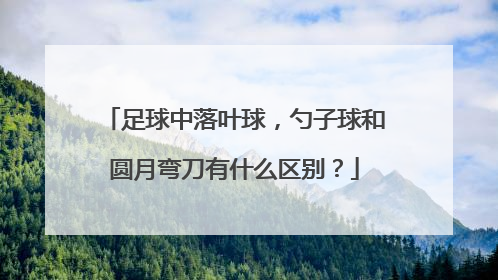 足球中落叶球，勺子球和圆月弯刀有什么区别？