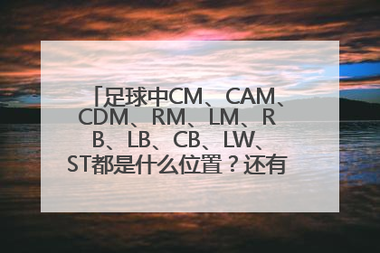 足球中CM、CAM、CDM、RM、LM、RB、LB、CB、LW、ST都是什么位置？还有什么别的？谢