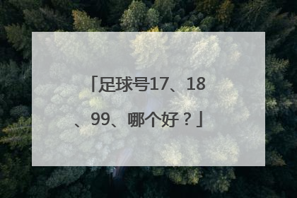 足球号17、18、99、哪个好？