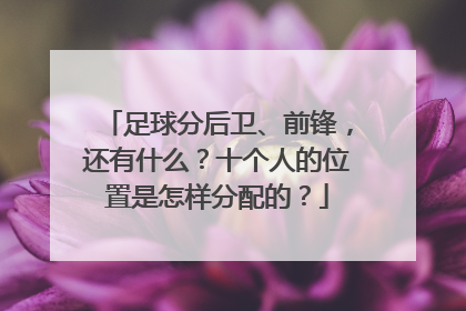 足球分后卫、前锋，还有什么？十个人的位置是怎样分配的？