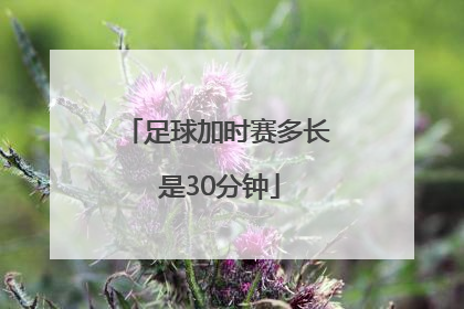 足球加时赛多长 是30分钟