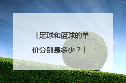 足球和篮球的单价分别是多少？