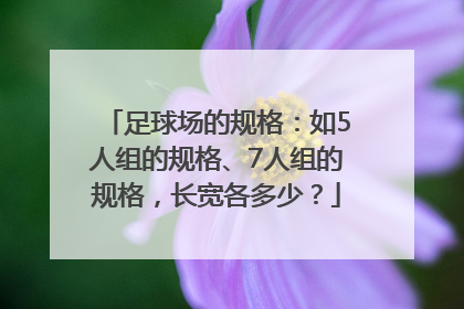 足球场的规格：如5人组的规格、7人组的规格，长宽各多少？