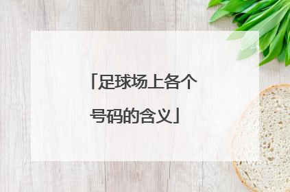 足球场上各个号码的含义