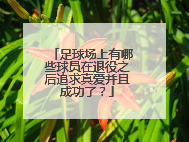 足球场上有哪些球员在退役之后追求真爱并且成功了？