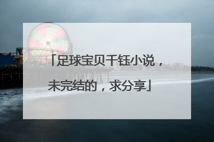 足球宝贝千钰小说，未完结的，求分享