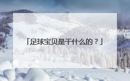 足球宝贝是干什么的？