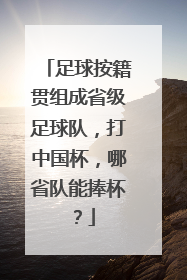 足球按籍贯组成省级足球队，打中国杯，哪省队能捧杯？