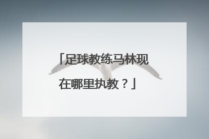 足球教练马林现在哪里执教？