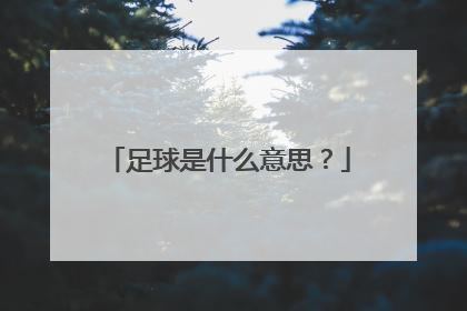 足球是什么意思？