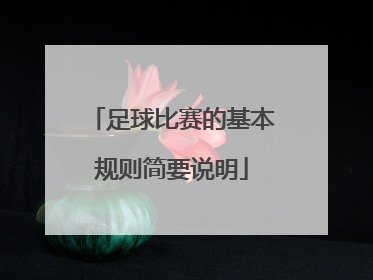 「足球比赛的基本规则简要说明」了解足球比赛的基本规则