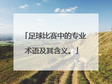 足球比赛中的专业术语及其含义。